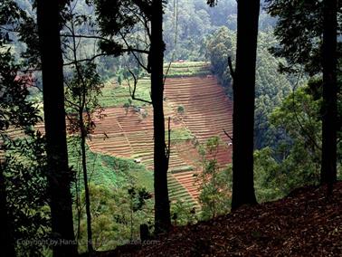 Bandarawela,_World`s_End,_DSC07049B_H600